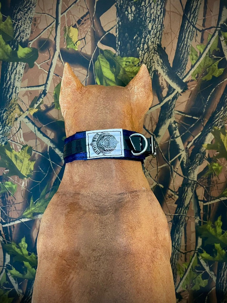 Supernatural hotsell cat collar