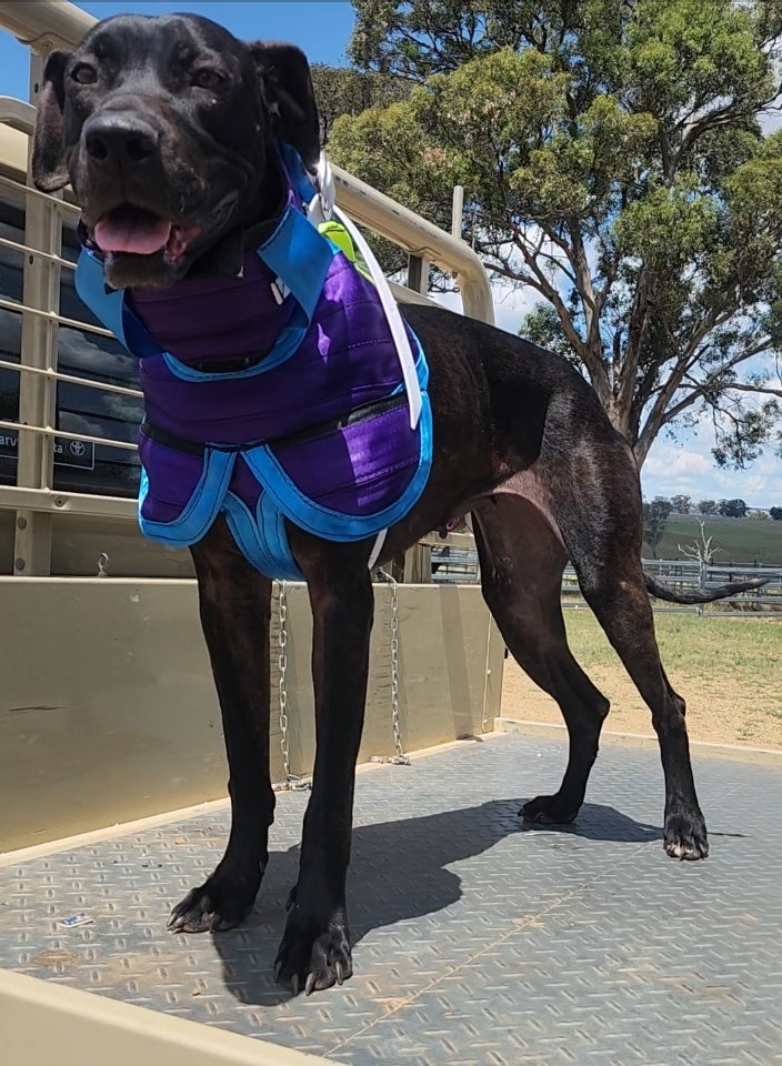 3/4 Chestplate with Leg Flaps – Get Belted Chestplates Collars