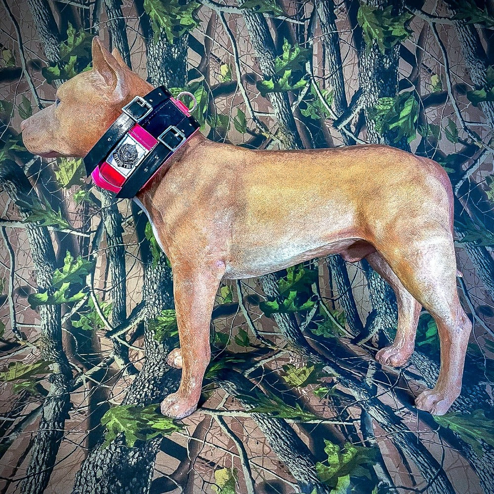 Hog Hunting Yeller Cur Dog Hog Hunting Dog Dog Armour Vest Dirty